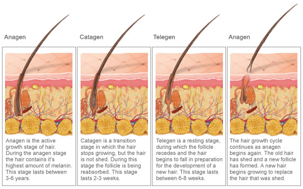 how to make regrow lost hair